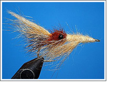 kh surf shrimp